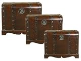 20543 - Uttermost Jamison, Trunks