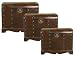 20543 - Uttermost Jamison, Trunks
