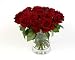 6 Dozen Red Elegant Roses Long 72