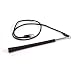 Stamina Gyrotonic Golf Club Accessory with Video