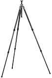 Gitzo GT2530 6X Carbon Fiber 2 Series 3 Section G-Lock Mountaineer Tripod
