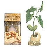 Canadian Magical Dinosaur Egg
