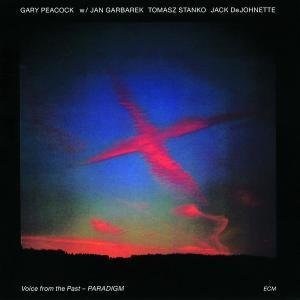 Voice from the Past - Paradigm