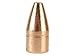 500 S&W 325gr XPB/20