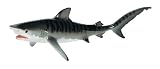 Tiger Shark, Monterey Bay Aquarium, Scale 1/20