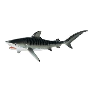 Tiger Shark by 