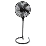 Holmes Adjustable Height Oscillating Fan Black Black
