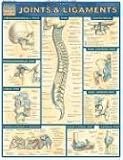 Joints & Ligaments (Quickstudy: Academic)