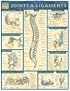 Joints & Ligaments (Quickstudy: Academic)