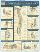 Joints & Ligaments (Quickstudy: Academic)