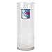 New York Rangers NHL 9 Flower Vase - Primary Logo by Great American Products
