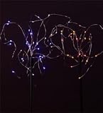 Rice Light Stakes