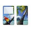 Tropics Design Skin Decal Sticker for Apple iPod video 30GB/ 60GB/ 80GB Player