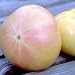 White Brandywine Tomato 15 Seeds