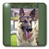 Dogs German Shepherd - German Shepherd Portrait - Light Switch Covers - double toggle switch