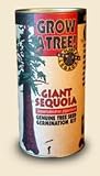Mini Tree Growing Kit - Giant Sequoia Mini Tree Growing Kit - Giant Sequoia