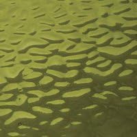 Sussex Green Muffle Stained Glass Sheet - 8" X 12" (.67sf)