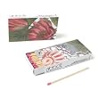Set of 3 Small Boxes of Lotus Florals Matches