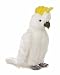 Plush Crested Cockatoo Bird 12 