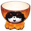 ZooBuds Hand Painted Ice Cream or Cereal Bowl - Lion Design