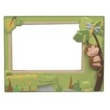 Papagayo Picture Frame