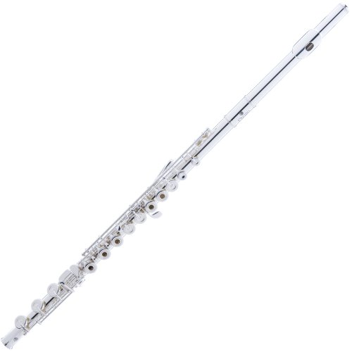 Cecilio 3Series FE-380S Silver Plated 17 Keys Open Hole C Flute
