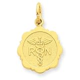 14k Registered Nurse Disc Charm