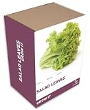 Outdoor Living : Grow It (Salad Leaves)