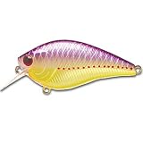 ��å�������ե�USA �Х��ץ�����åץ� ��å� ����� ����󥯥٥��� 405 PURPLE PERCH RC0.5