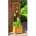 Trellis Planter