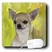 chihuahua6  - Dogs Chihuahua Chihuahua Portrait Mouse Pads