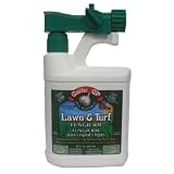 Garlic GP: Lawn/Turf Fungicide 32 oz RTS