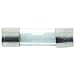 Tools & Hardware : AMERICAN TERMINAL AGU-40-10 40 Amp AGC Standard Glass Fuses