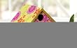 English Garden Wooden Birdhouse