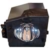 Electrified TB25-LMP / 23311083A / 23311083X / 23512131A / 23587201 Replacement Lamp with Housing for Toshiba TVs