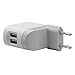 Belkin iPod Netzadapter USB DUO f�r iPod und iPhone inkl. Ladekabel und mini USB Kabel