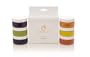 Clementine Art Natural Paint - 6 Color Pack