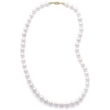 16 Inch 14k Yellow Gold 7.5-8mm (AAA) Akoya Pearl Necklace