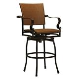 Viento Swivel Outdoor Bar Stool Scoop Birch Grandin Road 31snGzQaFXL. SL160 Viento Swivel Outdoor Bar Stool Scoop Birch Grandin Road