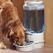 Pet Supplies : Ergo Auto Pet Waterer Large 2000Lw
