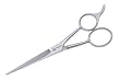 Stainless 2000 5&frac12; Shears