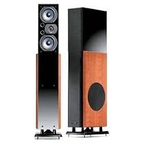 Polk Audio AM2217-E
