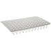 CapitolBrand SP0029 Natural Low Profile PCR Plate with 96 Non-Skirted Wells, 200 microliter Volume (Case of 25)
