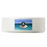 Large Dog Cat Food Water Bowl Cute Baby Penguin