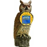 Dalen Prod. SRHO 4 Solar Owl Natural Scarecrow Device