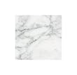 CARRARA VENATO MARBLE 6x6" SQUARE HONED TILE
