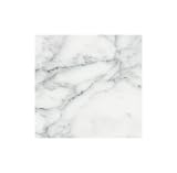 CARRARA VENATO MARBLE 6x6" SQUARE HONED TILE