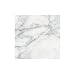 CARRARA VENATO MARBLE 6x6" SQUARE HONED TILE