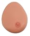 3B Scientific Single Breast w. benign tumor