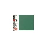 カセン和紙工業 プラカフィルム障子紙 片面 950mm×1850mm 深緑(グリーン) PR-106 2セット